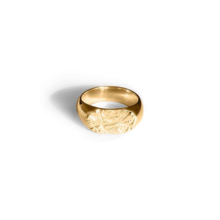 CERES chunky signet ring, yellow gold-plated