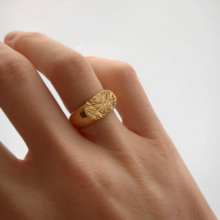 CERES chunky signet ring, rose gold-plated